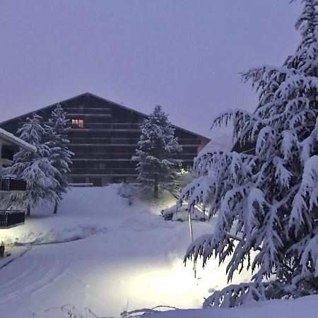 Auron Montain View Leilighet Eksteriør bilde